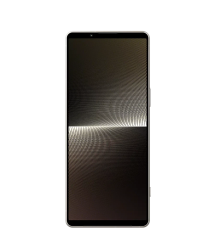 Sony Xperia 1 V XQ-DQ72 12/256 Platinum Silver