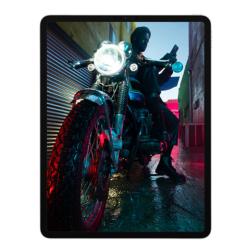 Apple iPad Pro (2021) 11" Wi-Fi + Cellular 2 ТБ,Silver «Серебристый»